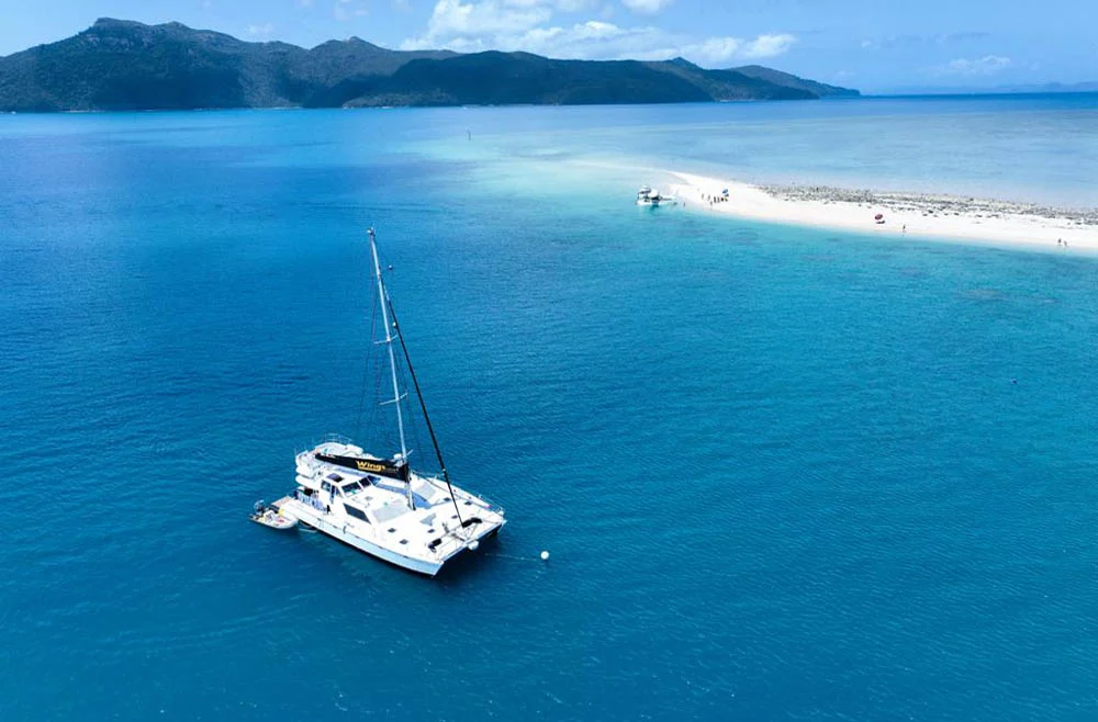Wings III, a catamaran chartered by Wings